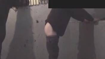 Well-endowed stud pounding the plump buttocks of a homosexual animal enthusiast