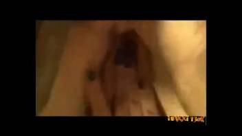 Steamiest blowjob experts satisfying well-hung studs