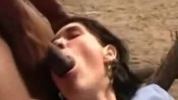 Babe is sucking black cock while being banged by a horse