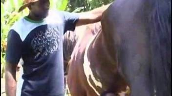 Bronzed Hispanic woman blows a massive horse-sized dick for her boyfriend