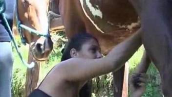 Tanned Latina sucks a fat horse cock for her BF