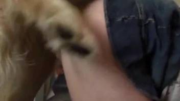 Whore wearing a skirt being submissive in doggy style
