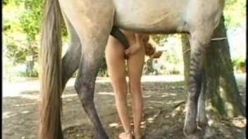 Voluptuous blonde leans forward to be pounded intensely by a horse