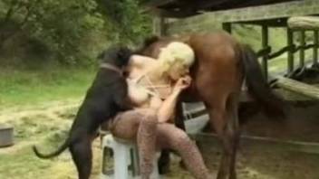 Blonde threesome with a horny dog and a nice horse
