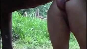 Intense anal pounding with a Latin woman and her horse