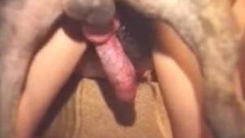 Remarkable foursome sex action with a horny doggy