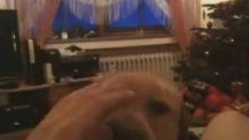 POV blowjob with a hung guy and his mom's dog