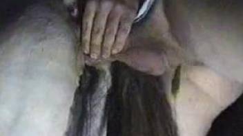 Horny guy fingers mare pussy before entering it