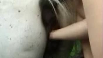 Seductive hottie in a swimsuit is performing fist insertion into a horse's anus
