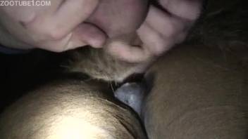 Guy grips penis to enhance penetration into beast's orifice