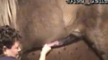 Mature craves to gag with this horse's endless cock