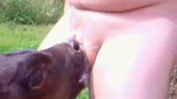 Chubby guy receives a tender blowjob from his pup