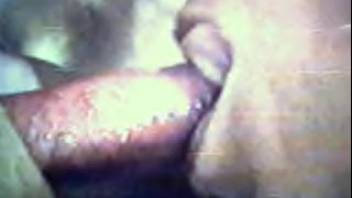 Vintage adult film showcasing an elegant canine oral sex act
