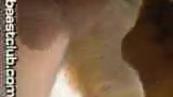 Intense homosexual anal intercourse with an extremely eager canine