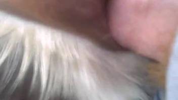 Guy with a tiny dick dominating beastly cunt