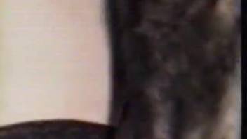 Bare woman groans as a complete canine dick fills her vagina