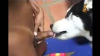 Bubble butt ebony shemale loves fucking with the dog
