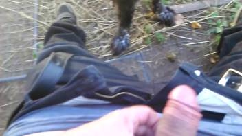 Guy receives a pleasurable oral sex from a canine outside