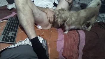 Dude enjoying passionate oral with a really horny dog