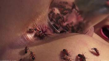 Fucked-up video with bugs crawling inside a MILF's pussy