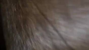 Guy banging a beast's dripping cunt on video