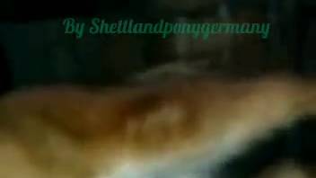 Canine licks guy's large penis as the man records himself