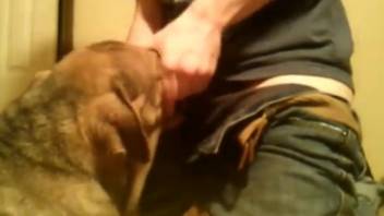 Chubby guy deepthroating a obedient beast on video