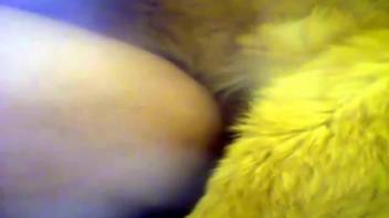 Intense bestiality encounter with a curvy female zoophile and a dog