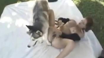 Tanned woman takes whole dog cock into her furry cunt