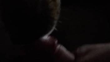 Guy allows this dog to suck his cock in a point-of-view video