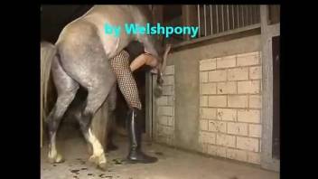 Crossdressing Welsh farmer gets ass-blasted by a horse