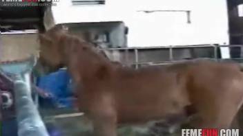 Hot stud pounds a farm girl's butthole doggy style