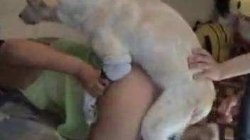 White Labrador fucks mistresses' tight asshole in doggystyle