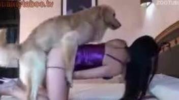 Latina dressed in purple gets power-fucked by a dog