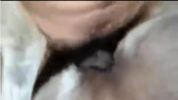 guy screws beasts