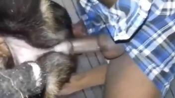 Dude fucking a dog's juicy pussy from behind in a hot vid