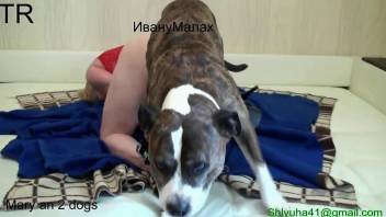 Russian whore gets fucked by a dog until she bleeds