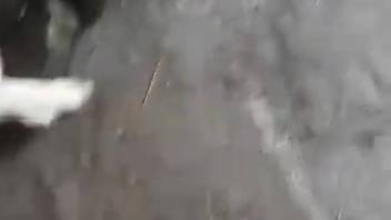 Guy bangs a hot sow from the rear with his stiff rod