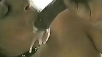 Collared hottie jerking a colossal cock of a horse