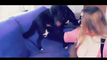 Redheaded babe is getting power-fucked by a black dog