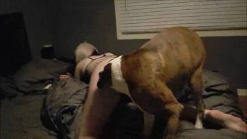Fair-skinned ass chick being banged by a hot mongrel here