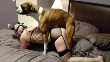 Pale-skinned gal getting humped by a dirty dog