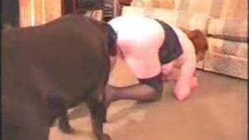 Sultry woman in provocative stockings gets banged doggy style