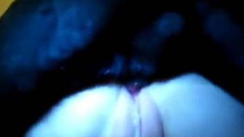 Black dog creampies a horny chick's tight little cunt
