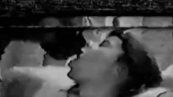Vintage porn clip showing a deranged zoophile