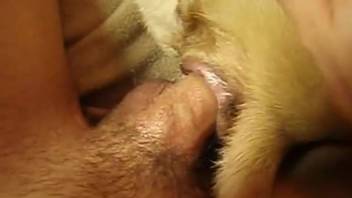 Guy employs his penis to satisfy this snug opening