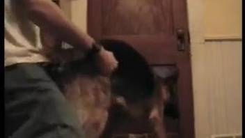 Dude fucks his dog violently from behind in front of a door