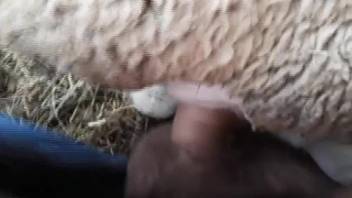 Guy employs his erect dick to demolish this wild chick's snatch