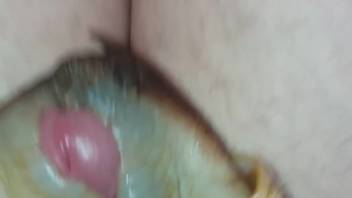 Submissive partner banging a guy in another POV recording