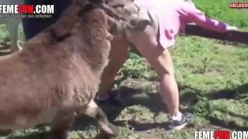 Beefy MILF bitch getting fucked by a sexy animal